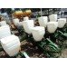 Plantadeiras 04 linhas T2SI reformadas.