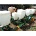 Plantadeiras 04 linhas T2SI reformadas.